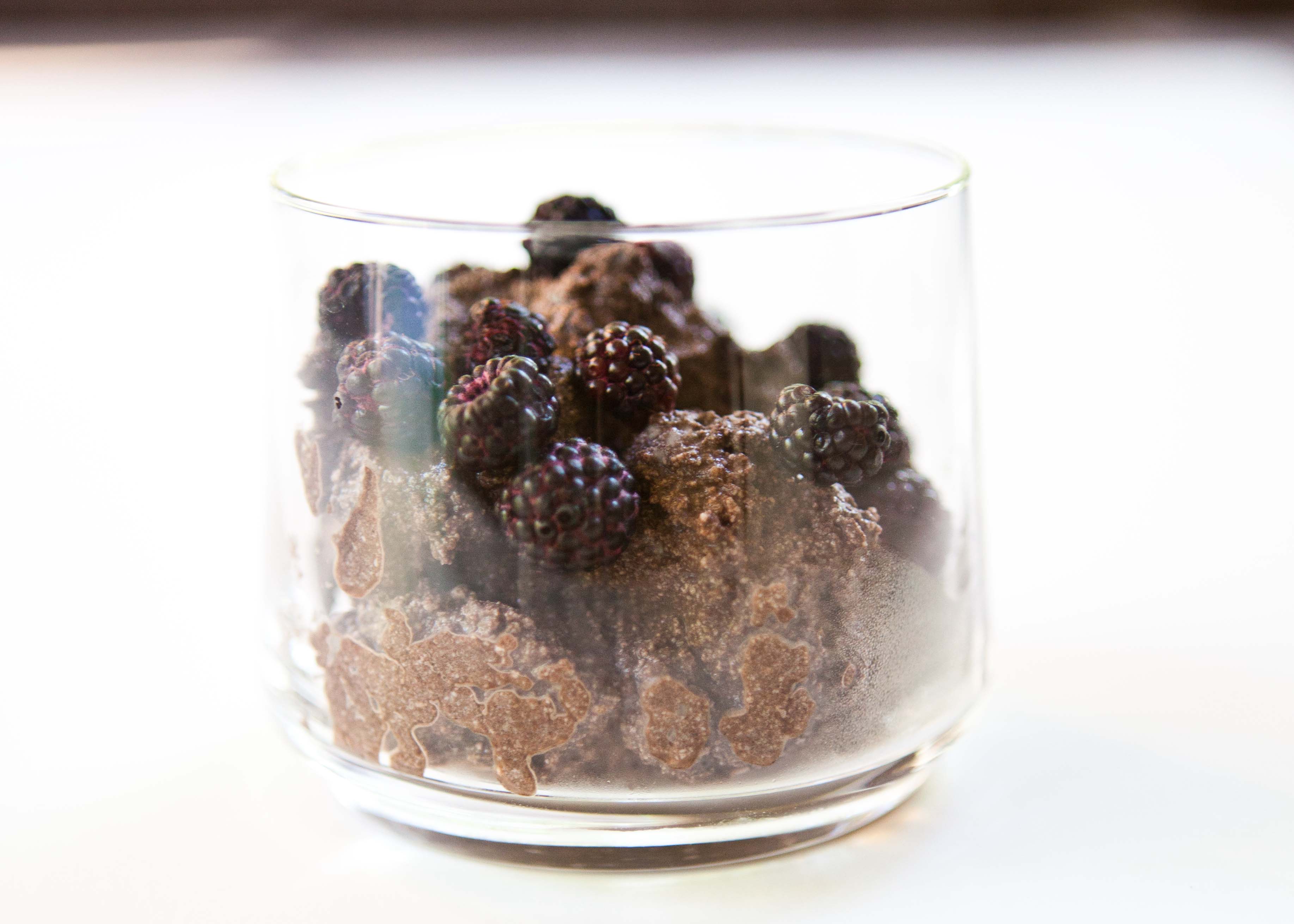 chocolate ricotta with blackberries