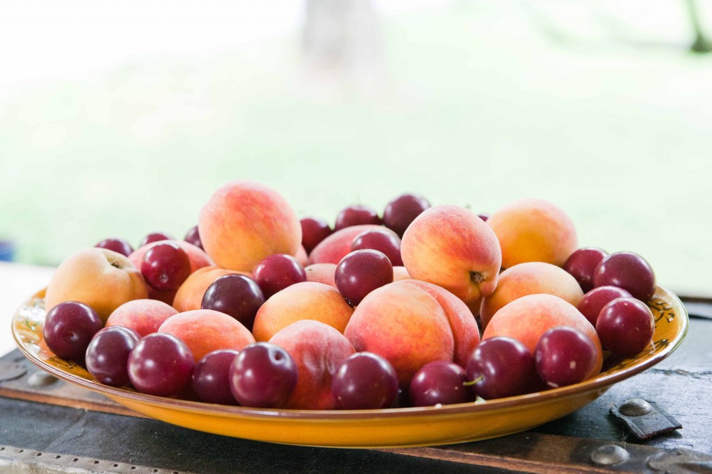 7-19 bowl of fruit