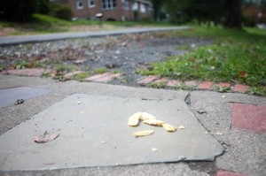 Hunger Games Katniss threw cookies out the window